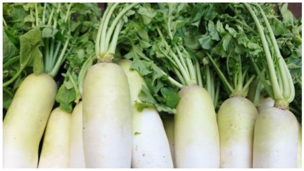 முள்ளங்கியின் மகிமை.. கிட்னியில் கல் இருக்கா? இதயம் முதல் சருமம் வரை காக்கும்! சத்தான முள்ளங்கி கீரை