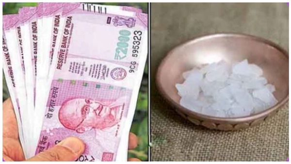 குபேர மூலையில் கற்பூரத் துண்டு.. பணம் ஈர்க்கும் பச்சை கற்பூரம்.. வீட்டில் இந்த இடத்தில் வைக்கலாமே