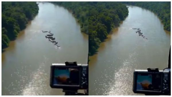 அமேசான் காட்டுக்கு நடுவில் தெரியும் ராட்சச உருவம்.. அது பாட்டுக்கு தண்ணியில போகுதே..அனகொண்டா? நிஜமா?