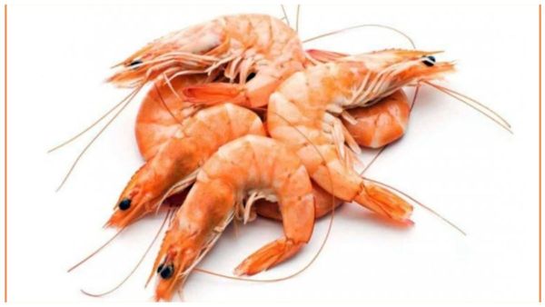 இறாலின் அவசியம்.. மூளை திறன், ரத்த விருத்தி, எலும்பு வலுப்பெற உதவும் இறால் மீன்.. யார் தவிர்க்கலாம்