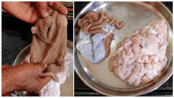 ஆட்டு குடல் அவசியம்.. மட்டன் Vs போட்டிக்கறியில் எது நல்லது? ஆட்டுக்குடலில் சத்து.. யாருக்கு நல்லது?