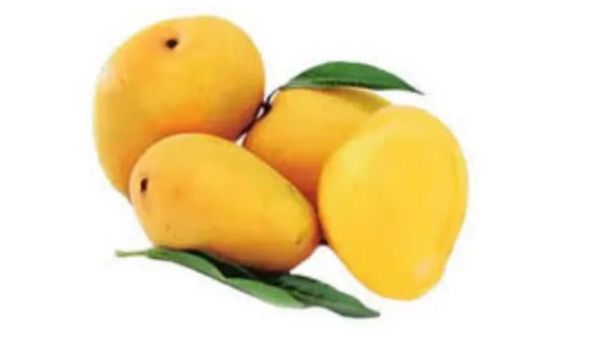 தினந்தோறும் 1 மாம்பழம்.. கண் பார்வை முதல் சரும நலன் வரை காக்கும்! மாம்பழத்தை இவங்க மட்டும் தொடாதீங்க