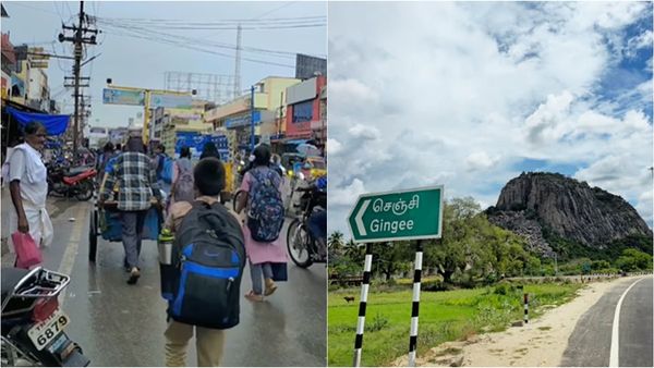 பிளஸ் 2 தேர்வில் அரசு பள்ளியில் 251 பேர் 100க்கு 100 எப்படி.. விழுப்புரம் கல்வி அதிகாரி  விளக்கம்