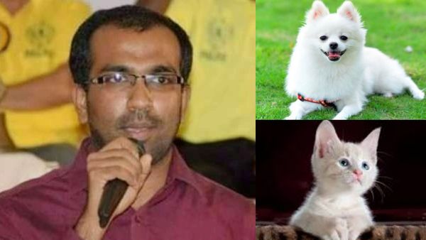 குட்டி நாயோ குட்டி பூனையோ கடித்தால் ரேபிஸ் தடுப்பூசி கட்டாயமா? டாக்டர் விளக்கம்