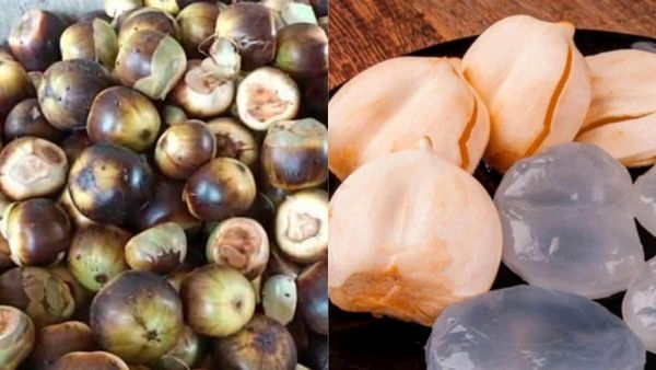 ”ஐஸ் ஆப்பிள்” பனை நுங்குவில் இவ்ளோ நன்மைகளா? வெயிலில் வெளியே போறவங்க அவசியம் தெரிஞ்சுக்கோங்க