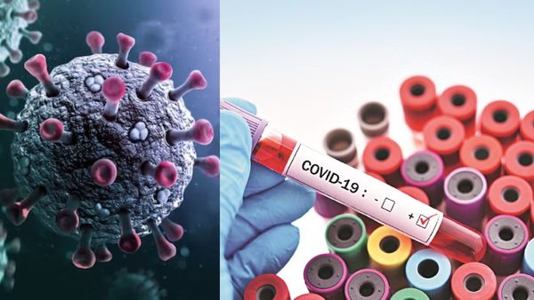 NB.1.8.1 - LF.7.. இந்தியாவில் புதிய கொரோனா வைரஸ் கண்டுபிடிப்பு.. திடீரென பாதிப்பு அதிகரிப்பது ஏன்?