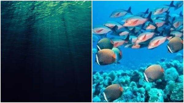 ஆழ்கடலில் பரவும் இருள்.. பூமியில் காலியாகும் ஆக்சிஜன்! எச்சரிக்கும் விஞ்ஞானிகள்