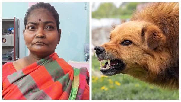 வீட்டின் அருகே விளையாடிய சிறுமி.. பக்கத்து வீட்டு பெண்ணால் நேர்ந்த கொடூரம்.. ஆடிப்போன கோவை