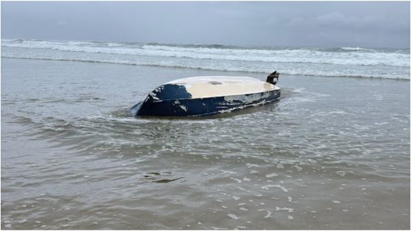 அமெரிக்க ஆசை.. குழந்தையை தொலைத்த இந்தியர்கள்! எப்போது முடியும் இந்த துயரம்!