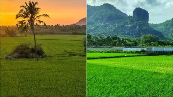 கன்னியாகுமரி விவசாயிகள் வங்கி கணக்கில் நேரடியாக வரப்போகும் ரூ.4000.. வேளாண் அதிகாரி விளக்கம்