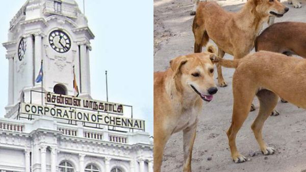 சென்னையில் மட்டும் 1.80 லட்சம் தெருநாய்கள்.. மைக்ரோசிப் மூலம் கண்காணிப்பை தொடங்கும் மாநகராட்சி