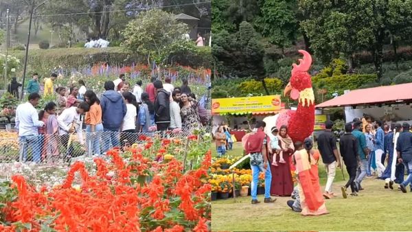 ரெடி ஆகுங்க மக்களே.. கொடைக்கானலில் 24 முதல் கோடை விழா! குளு குளு சீசனை அனுபவிக்க புதிய அருவி வருது