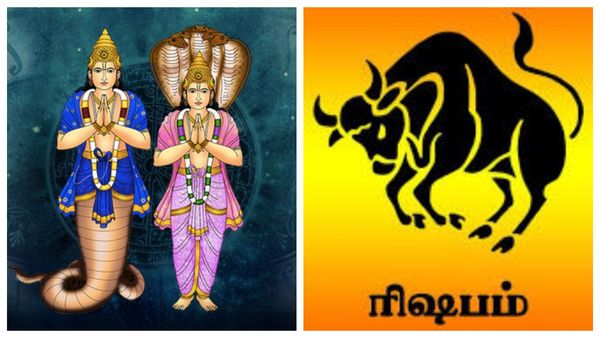 ராகு கேது பெயர்ச்சி: ரிஷப ராசிக்கு ஜாக்பாட்.. எல்லாமே பெஸ்ட்.. பணம் கொட்டப் போகுது