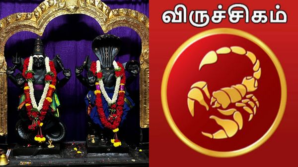 ராகு கேது பெயர்ச்சி: விருச்சிகம் ராசிக்கு காசு மேல காசு வந்து கொட்டும்.. நிதானம் முக்கியம்