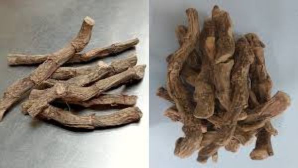 Vasambu: குழந்தைகளுக்கு ஞாபக சக்தி அதிகரிக்க! வசம்பை எடுத்து நாக்கில் தேயுங்கள்!