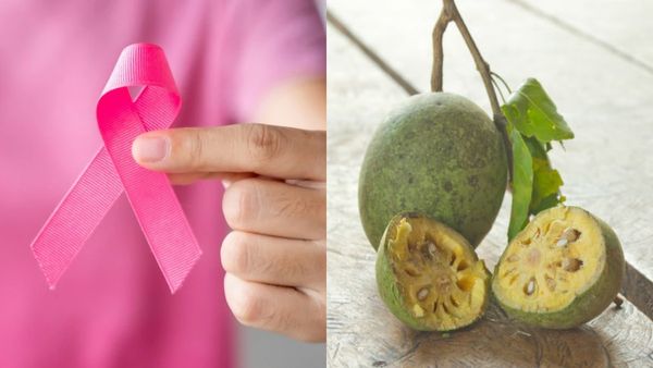 புற்றுநோயை விரட்டும் வில்வம் பழம்! மூச்சு பிரச்சினைக்கு அருமருந்து! சிவத்துருமத்தின் பயன்கள் என்ன?