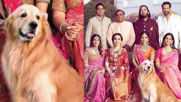 அம்பானி வீட்டு வளர்ப்பு நாய் திடீர் மரணம்! பென்ஸ் காரில் தனியொருவனாக வலம் வந்த ஹேப்பி!