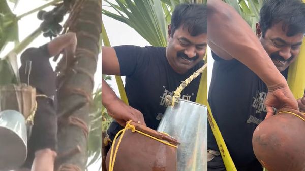 சரசரவென பனைமர உச்சிக்கு போயி.. கள் இறக்கிய சீமான்! திருச்செந்தூரில் தொண்டர்களுக்கு ஊற்றி கொடுத்தார்