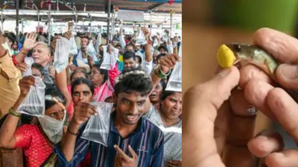 ஆஸ்துமா பிரச்சினையால் அவதியா? ஹைதராபாத்தில் இன்று முரல் மீன் மருந்து பிரசாதம் வழங்கும் நிகழ்வு