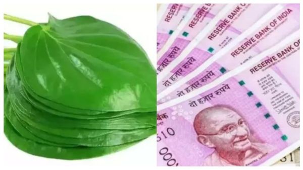 வாசலில் வெற்றிலை தோரணம்! இழந்த சொத்து முதல் மகிழ்ச்சி வரை மீண்டும் பெற உதவும் வெற்றிலை பரிகாரம்