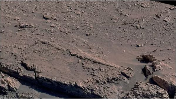 செவ்வாய் கிரகத்தில் 'சிலந்தி வலை'! இதென்ன புதுசா இருக்கே! உயிர்கள் வாழ வாய்ப்பு இருக்கிறதா?