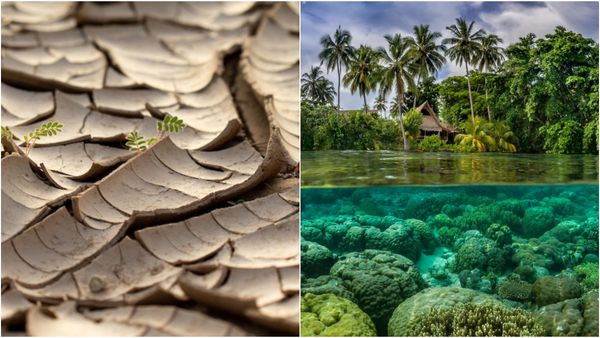 அழிவு நெருங்கிடுச்சு.. தென்னாப்பிரிக்காவில் நடக்கும் மிகப்பெரிய மாற்றம்! அடுத்து இந்தியா தான்!