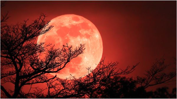 ஸ்ட்ராபெர்ரி நிலவு.. எப்படி பார்ப்பது? இந்தியாவில் தெரியுமா? முழு விவரம்