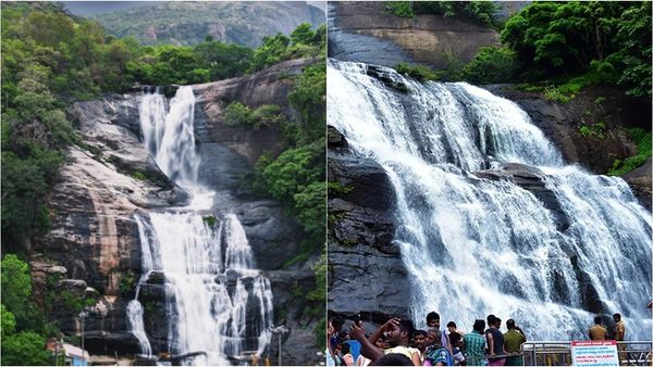 Courtallam | குற்றாலத்தில் விருந்து காத்திருக்கிறது.. குவிந்த சுற்றுலா பயணிகளுக்கு இயற்கை தந்த இன்ப அதிர்ச்சி
