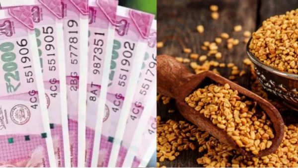 பீரோவில் கண்ணாடி வைக்கலாமா? திருஷ்டியை நீக்கி அதிர்ஷ்டம் தரும் நெல்லி விதைகள்.. மிளகு பரிகாரம் செம