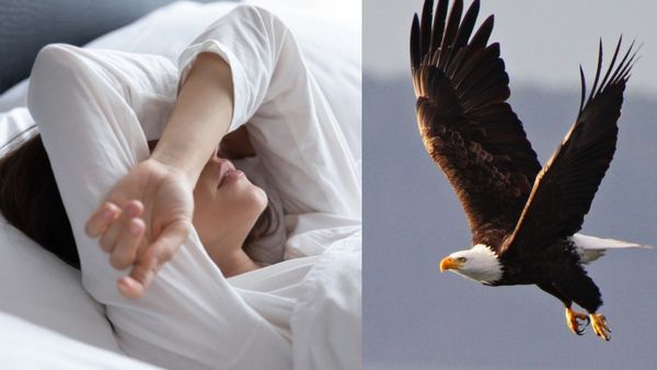 கனவில் கருடன் வந்தால் நன்மையா? தீமையா? சாஸ்திரம் சொல்வது என்ன?