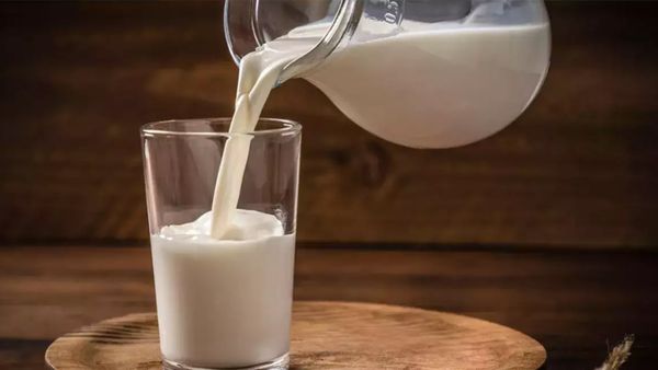 பாலில் கால்சியம் மட்டுமில்லை.. ஏகப்பட்ட நன்மை கொட்டி கிடக்கு! தினசரி ஒருவர் எவ்வளவு பால் குடிக்கணும்