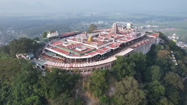 பழனி கோவிலில் நடந்த அதிசயம்.. 12 நாளில் குவிந்த தங்கம்! எல்லாம் முருகன் அருள்.. சிலிர்த்த பக்தர்கள்!