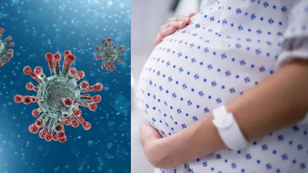 காவு வாங்கும் கொரோனா.. வெளியே வராதீங்க! கர்ப்பிணிகளுக்கு பறந்த எச்சரிக்கை! நாட்டு மருந்து வந்தாச்சா?