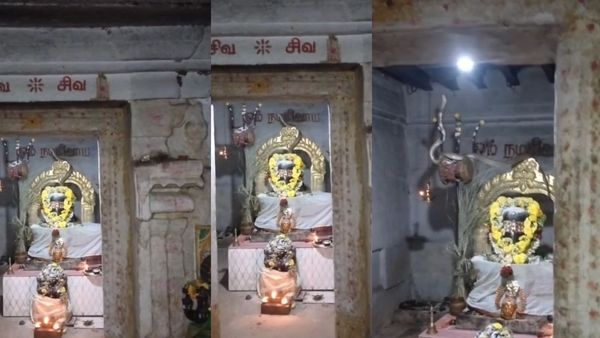 பரமசிவன் கழுத்தில் நெளிந்த பாம்பு! சூலாயுதத்தின் மீது ஏறி நின்று.. மெய்சிலிர்த்த பக்தர்கள்! வீடியோ