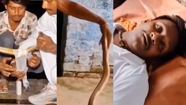 பாம்புக்கு பாயா போட்டாலும் பணியாது! காயம்பட்ட நாகராஜாவுக்கு சிகிச்சை.. அப்பறம் நடந்தது தான் ட்விஸ்ட்