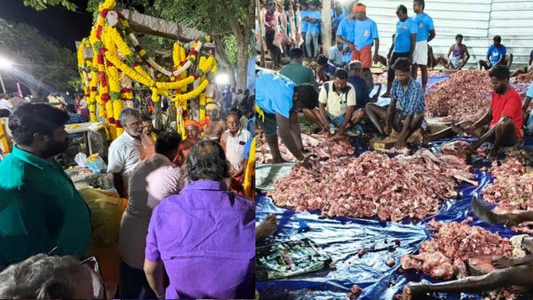 நத்தம் முழுக்க கறி வாசம்! மலை போல் சோறு.. குளம் போல் கறிக் குழம்பு! கருப்பண்ணசாமிக்கு மெகா படையல்!