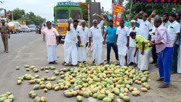 இனிக்காத மாம்பழம்..நடுரோட்டுக்கு வந்த விவசாயிகள்! வயிற்றில் பால் வார்க்கும் அறிவிப்பை வெளியிட்ட அரசு