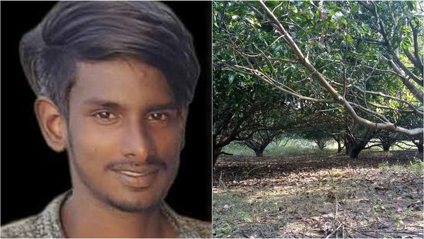 ராணிப்பேட்டை மாந்தோப்பில் ஒரே அசிங்கம்.. 80 வயது மூதாட்டியிடம் அத்துமீறிய 19 வயது இளைஞர்