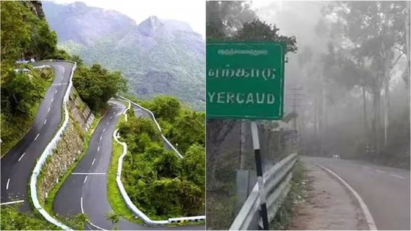 சேலம் ஏற்காடு மலைக்கு சுற்றுலா வந்த இளைஞர்கள் வெளியிட்ட ஒற்றை வீடியா.. மொத்த போலீசும் இப்ப தேடுது