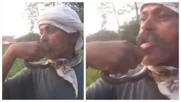 பாம்புக்கு ‘லிப் கிஸ்’ கொடுத்த போதை விவசாயி - நாக்கிலேயே கடித்ததால் ஏற்பட்ட சோகம்