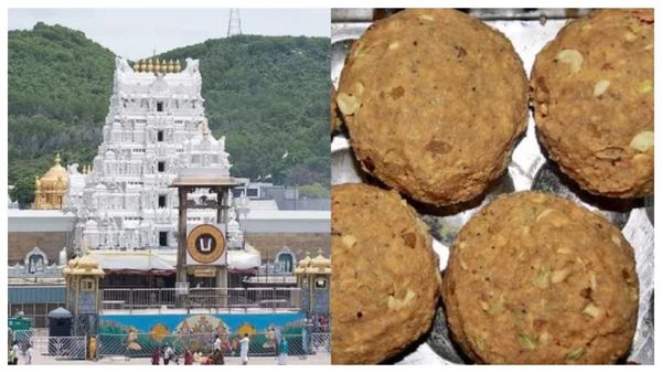 திருப்பதி லட்டில் கலந்தது நெய்யே இல்லை.. அது பாமாயில்.. ரசாயனம்.. சிபிஐ அதிர்ச்சி தகவல்