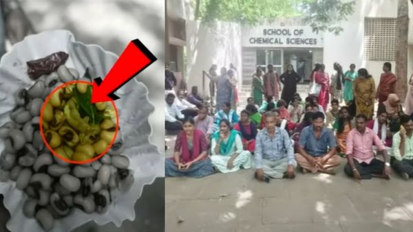 சென்னையில் நான் முதல்வன் திட்ட பயிற்சி வகுப்பில் வழங்கப்பட்ட பயறில் பல்லி.. பேராசிரியர்களுக்கு வாந்தி மயக்கம்