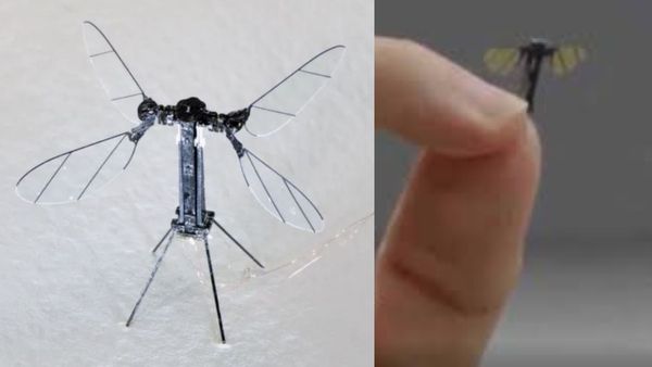 'கொசு' அளவில் டிரோன்கள்.. புதிய ராணுவ ஆயுதம் கண்டுபிடிப்பா.. உலக நாடுகளை மிரள வைத்த சீனா