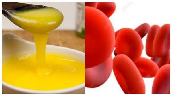 இரவில் 1 டீஸ்பூன் நெய்யை இப்படி சாப்பிடுங்க.. காலையில் வெறும் வயிற்றில் நெய் தரும் பலன்களை பாருங்க