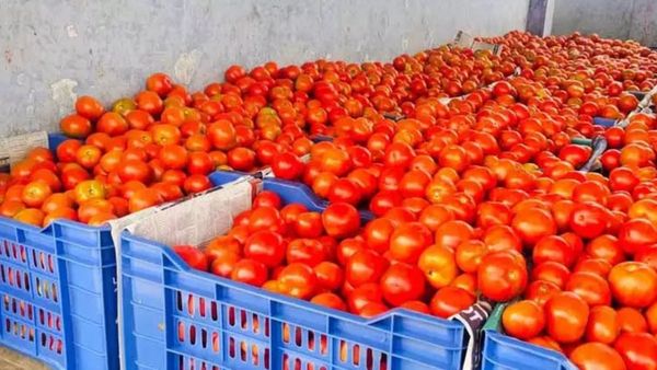 கிடுகிடுவென எகிறி வரும் தக்காளி விலை.. இன்னும் உயருமாம்.. காரணம் சொன்ன கோயம்பேடு காய்கறி வியாபாரி!