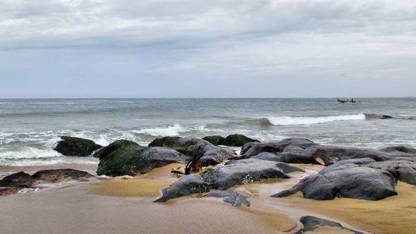 சென்னை கோவளம் கடற்கரையில்.. சட்டென பார்த்தல் ஷாக்.. திரண்டு வந்து நின்று.. ஸ்டன் ஆன மக்கள்