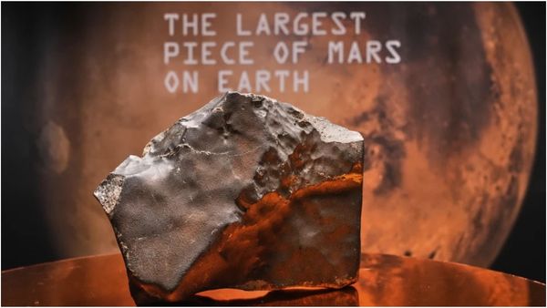 சும்மா கிடந்த கல்லுக்கு இவ்வளவு மவுசா? கோடிக்கணக்கில் ஏலம் போன செவ்வாய் கிரக விண்கல்