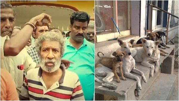 காட்பாடியில் நாய் கறி? திடீரென போராட்டத்தில் குதித்த மக்கள்.. ஆனால் விஷயமே வேற!