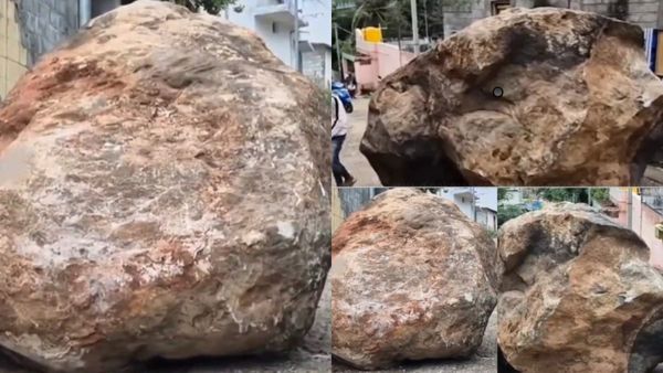 வாணியம்பாடியில் நடுத்தெருவில்.. ஆத்தி எத்தா தண்டி? குன்றிலிருந்து குபீர்னு வந்துருச்சு இந்த மழைக்கே