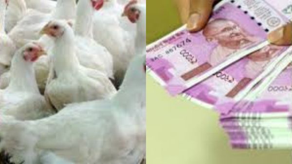 50 சதவீத மானியத்தில் 